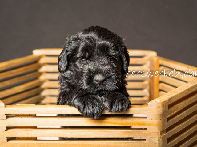 Frau Weiß nach 30 Tagen